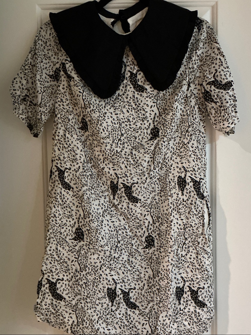 Ted Baker Black and White Mini Dress with Peter Pan Collar size 1 in Ted baker